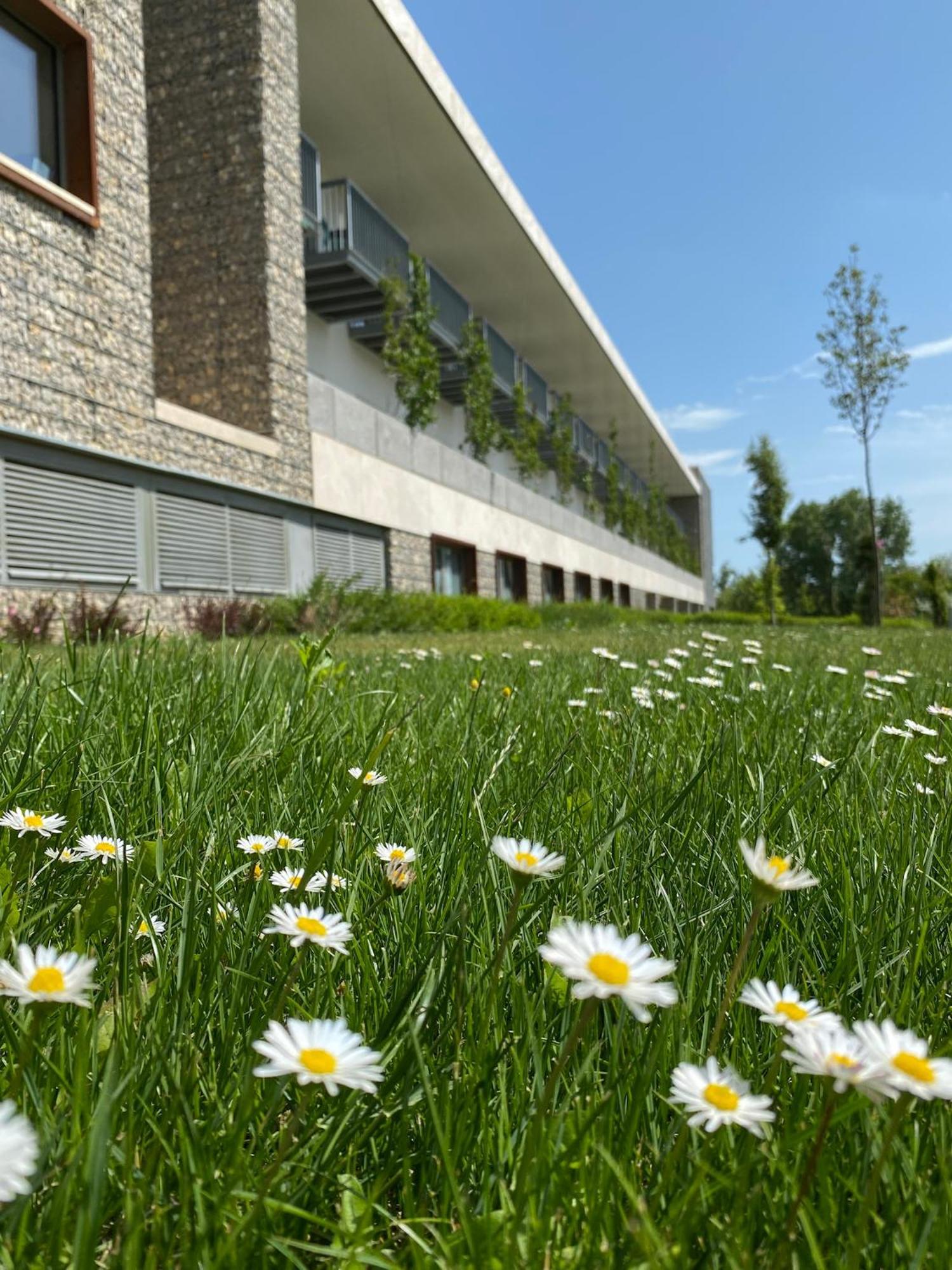 Akademia Hotel Balatonfüred Eksteriør billede